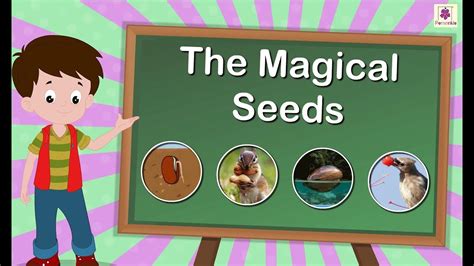 Journey into the Realm of the Magical Seed Whirl